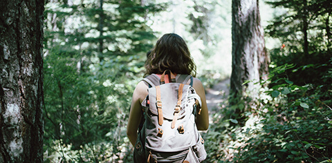 Person hiking in the woods