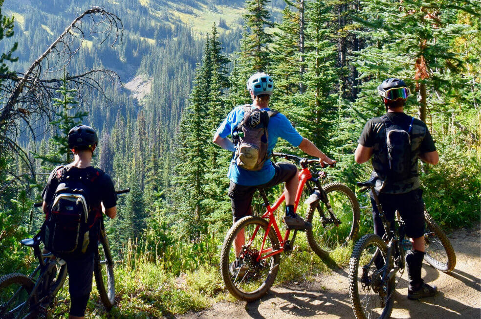 3 people on bikes on a trail
